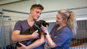 Animal Care SPCA 8